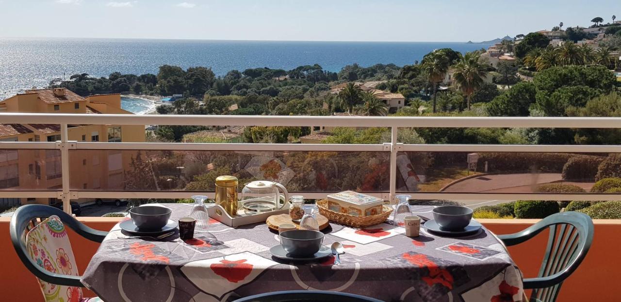 T1 Vue Mer Bord De Mer Ajaccio Ajaccio  Dış mekan fotoğraf